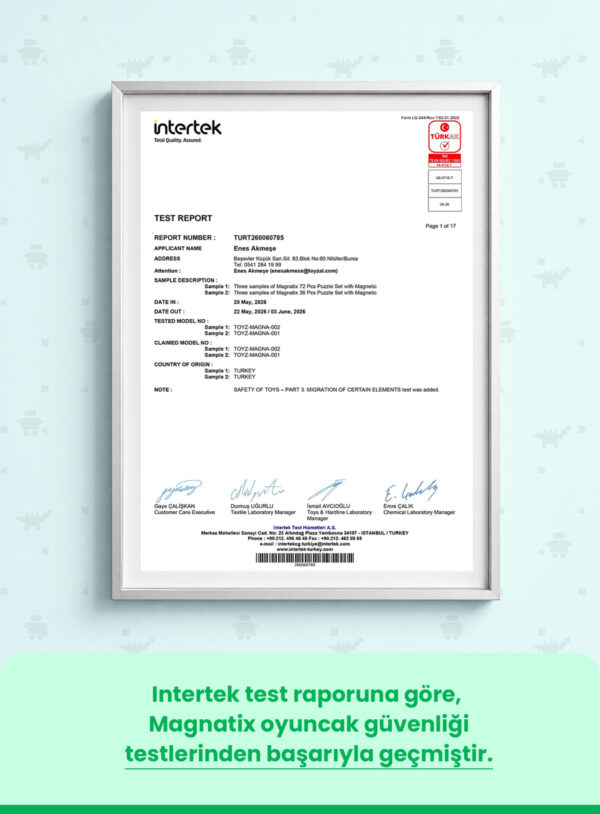 6 Toyzal Magnatix 36 Parça Manyetik Yapı Oyuncak Seti – Eğitici Mıknatıslı STEM Oyuncak